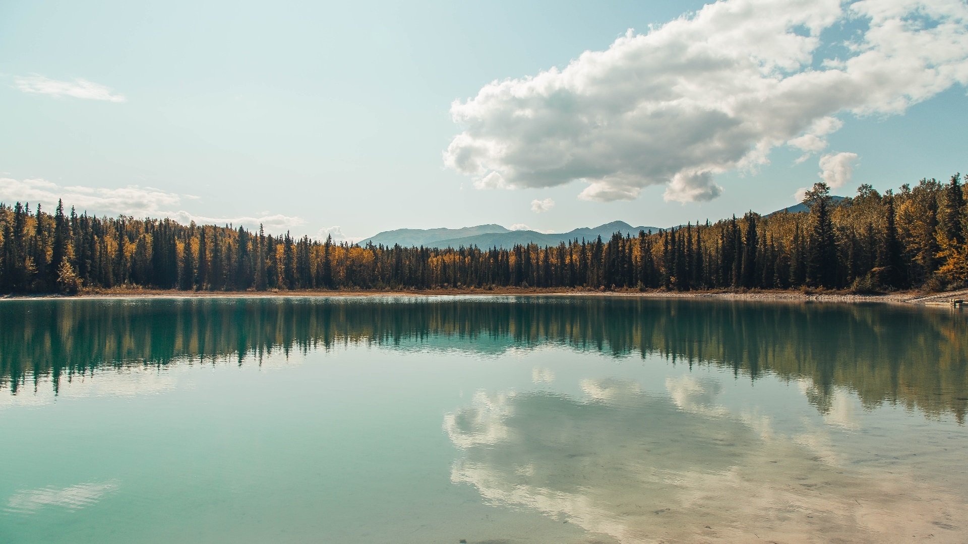 开云体育开云-NBA科技创新：AI裁判逐步应用，比赛更加公平？，ai裁判最早